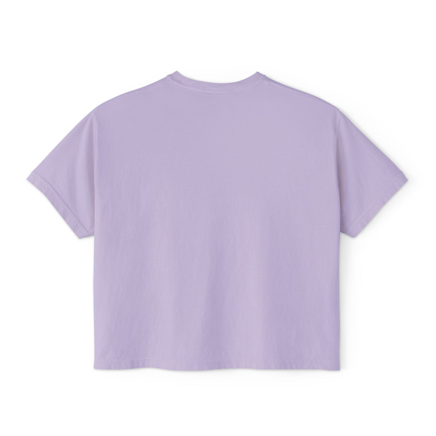 Well Sheeyit Boxy Tee — Funny Retro Western Graphic Shirt