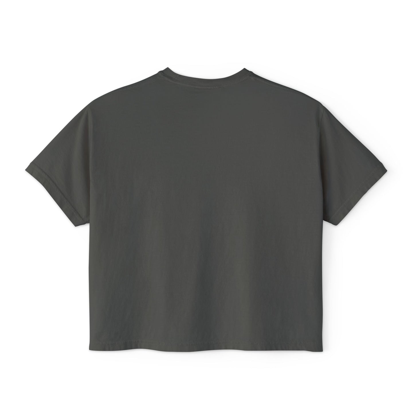 Well Sheeyit Boxy Tee — Funny Retro Western Graphic Shirt